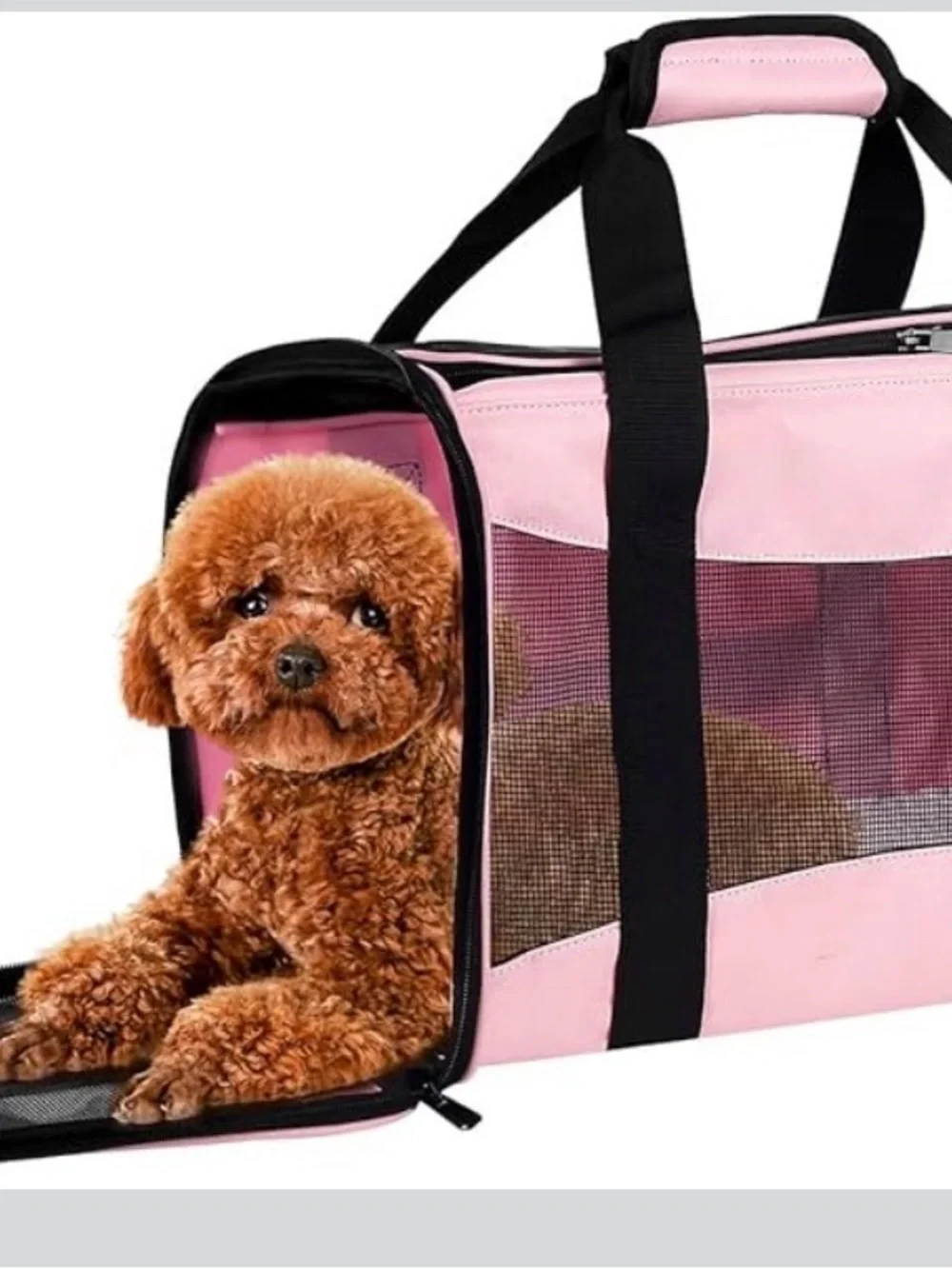 Portable Pink Soft-Sided Cat & Small Pet Carrier with Mesh Panels